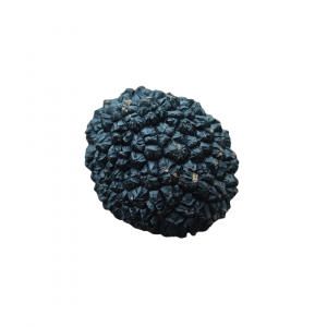 Trufa de Primera Orbiso